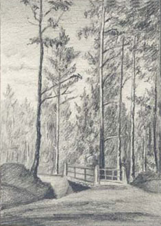 Н.К. Рерих. «Второй мост на дороге в казенном лесу к токам». 1893 г.