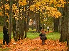 Autumn in Izvara