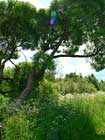 Izvara. Summer